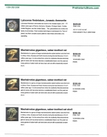 Prehistoric Planet Store Catalog of Dinosaurs, Fossils, Trex Products, Digital Download