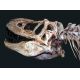 Tarbosaurus bataar, juvenile skull replica