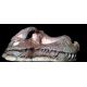 Tyrannosaurus rex 1/3 scale, Sue, skull in the matrix
