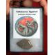 Saltasaurus Dinosaur Eggshell, in Riker Display, authentic