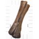 Miasaura Dinosaur Bone Pathology, of a Broken & Healed Hand Bone