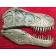 Tyrannosaurus rex Life-Size 2 Piece Skull Sculpture LAST 2 AVAILABLE