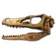 Velociraptor Skull, life size sculpture