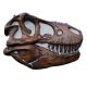 Tyrannosaurus rex Life-Size Skull Sculpture