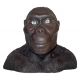 Australopithecus, early human bust