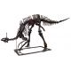 Tsintaosaurus  complete skeleton