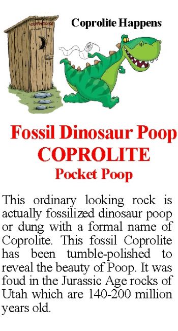 Dinosaur Coprolite, 1 authentic fossil dinosaur dung, poops