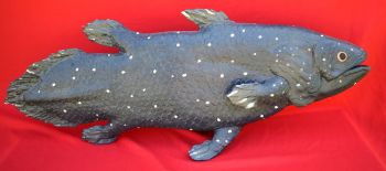 Coelacanth, life size model