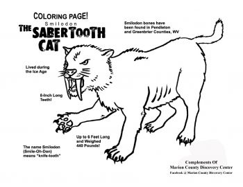 FREE Smilodon Saber Tooth Cat Coloring Page