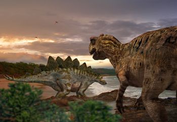 Stegosaurus & Allosaurus, Dinosaur Poster