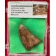 Authentic Carcharodontosaurus tooth in Acrylic Display Case