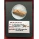 Authentic Hadrosaur Dinosaur Fossil Rib Bone Section