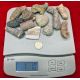 1 Pound Authentic  Fossil Mix for Collecting & Mining