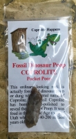 Dinosaur Coprolite, 1 authentic fossil dinosaur dung, poops