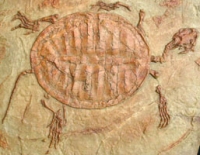 Manchurochelys liaoxiensis, fossil turtle