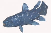 Coelacanth, model