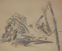 Rhamphorhynchus, pterosaur skull & wing #5