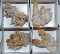 Aragonite Crystal Collection