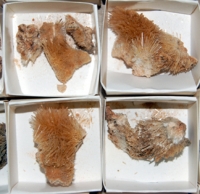 Selenite, 28 specimens per flat