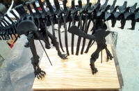 Apatosaurus, skeleton model