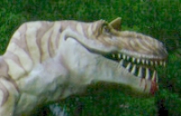 Tyrannosaurus, life size model