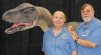 Allosaurus life-size juvenile model 10.5 feet long
