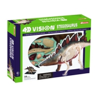 Stegosaurus 4D Vision Model