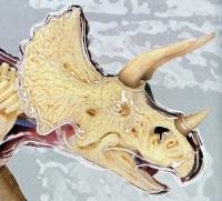 Triceratops 4D Vision Model