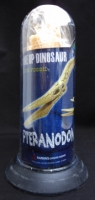 PteranodonTest-Tube Skeleton 11 Piece Kit