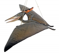 Pterosaur, Pteranodon 5 Foot Hanging Model
