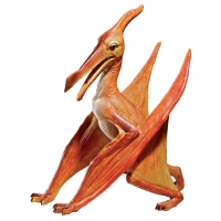 Pterosaur, Pterodactyl Model