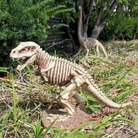 Brachiosaurus, Skeleton Sculpture