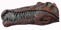 Spinosaurus Skull, Life-Size Wall Relief Sculpture
