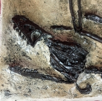 Bambiraptor Skeleton, In Situ