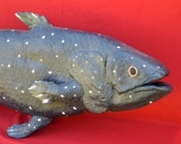 Coelacanth, life size model