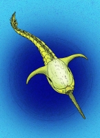 Doryaspis nathorsti, primitive jawless fish