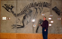 Edmontosaurus, cervical vertebra