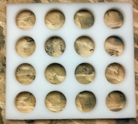 16, 1 1/2 Inch White Gem Jars & Foam Insert for Gemstone, Fossils, Coins