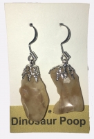 Authentic Dinosaur Coprolite Earrings