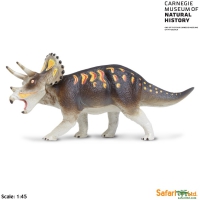 Triceratops, life-like model