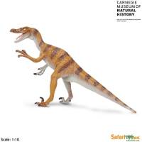 Velociraptor, life-like model