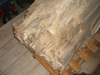Petrified Fossil Tree Log