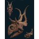 Diabloceratops eatoni, skull