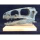 Zuni Coelurosaur Skull 