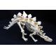 Stegosaurus Test-Tube Skeleton 9 Piece Kit  