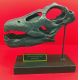 Brontosaurus, Skull 1/4 Scale 3D Printed, Replica