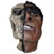 Neanderthal, early human skull 1/2 skull & 1/2 flesh reconstruction