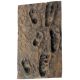 Laetoli, Australopithecus afarensis (early human footprints/tracks)