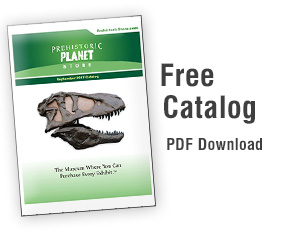 Free Catalog PDF Download