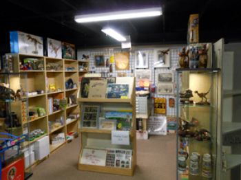 Antiques & Uniques, Fossils, Rocks & Minerals Shop